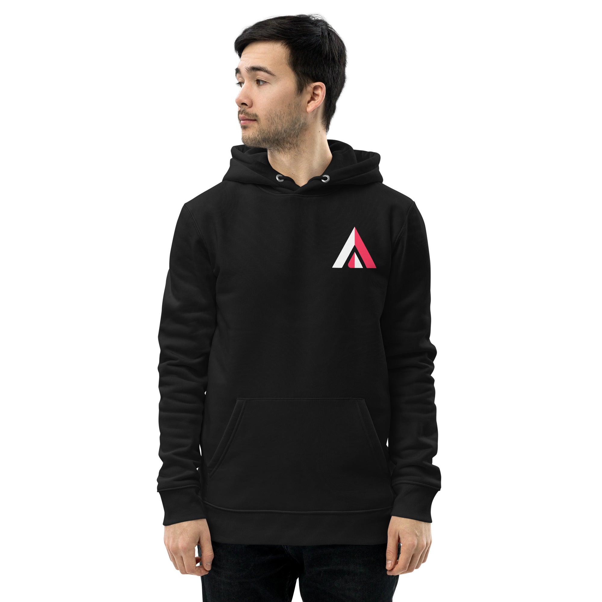 Ascension hoodie